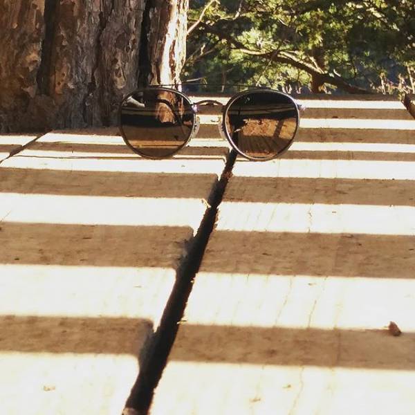 Lunettes de soleil rondes et tendances Ray-Ban