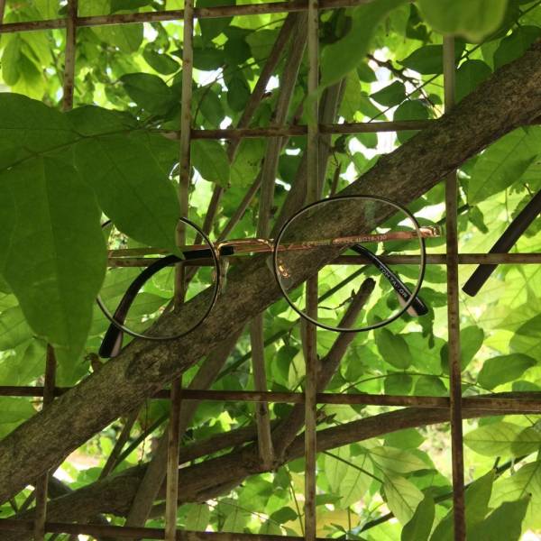 Lunettes de vue Etnia arbre