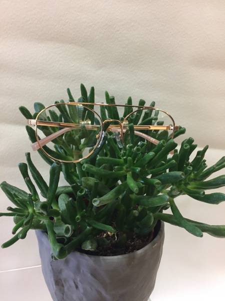 Lunettes de vue Michael Kors en or rose à Marseille 13004